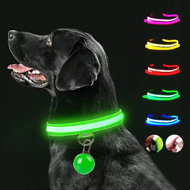 LED Collar