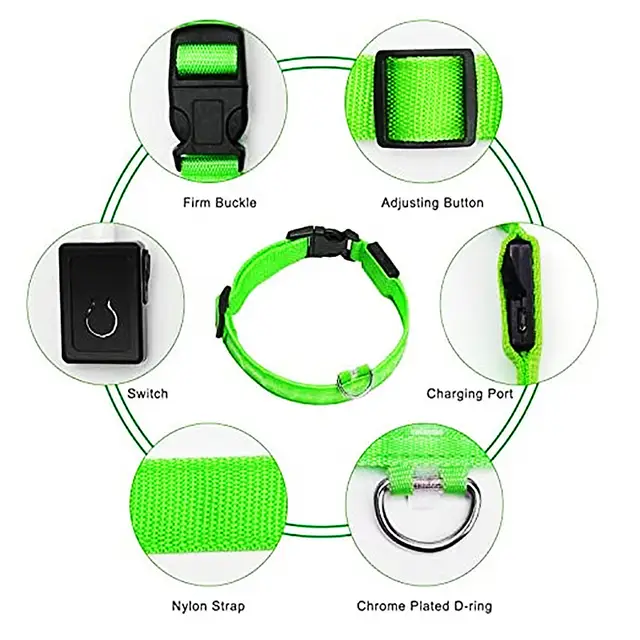 LED Collar