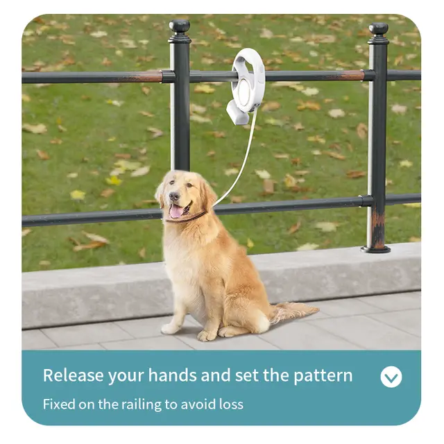 Retractable leash with flashlight
