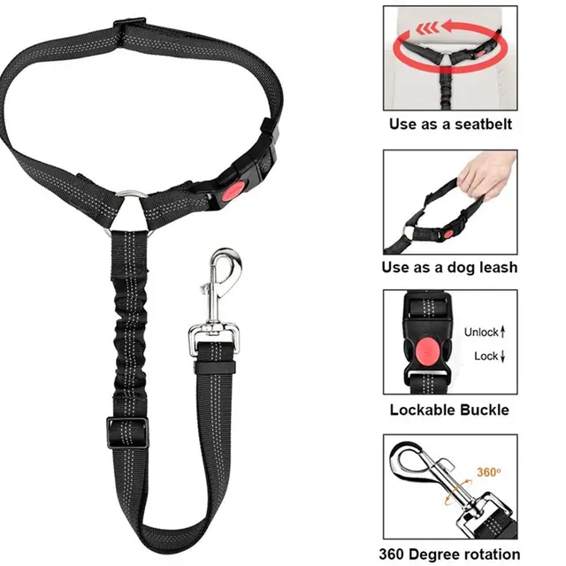 Pet Car Leash
