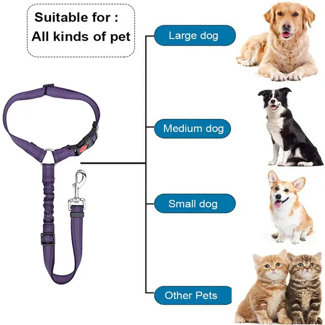 Pet Car Leash
