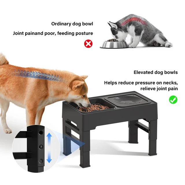 Elevated Dog Bowl