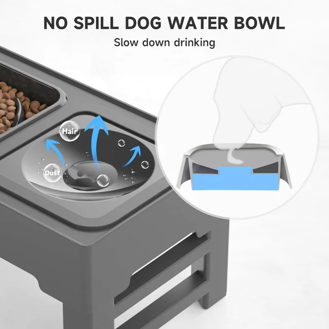 Elevated Dog Bowl