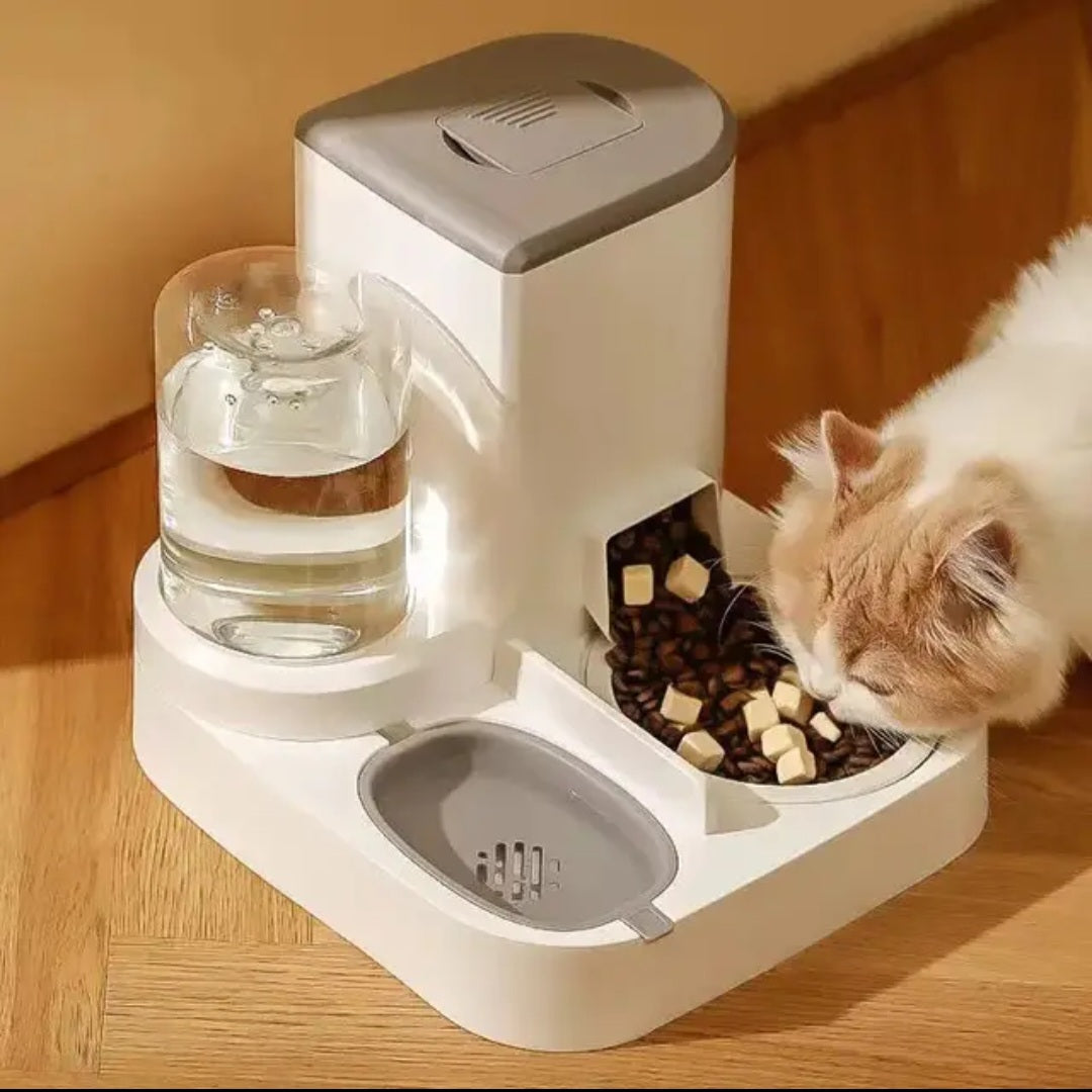 Pet bowl with dispenser