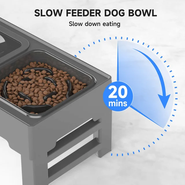 Elevated Dog Bowl