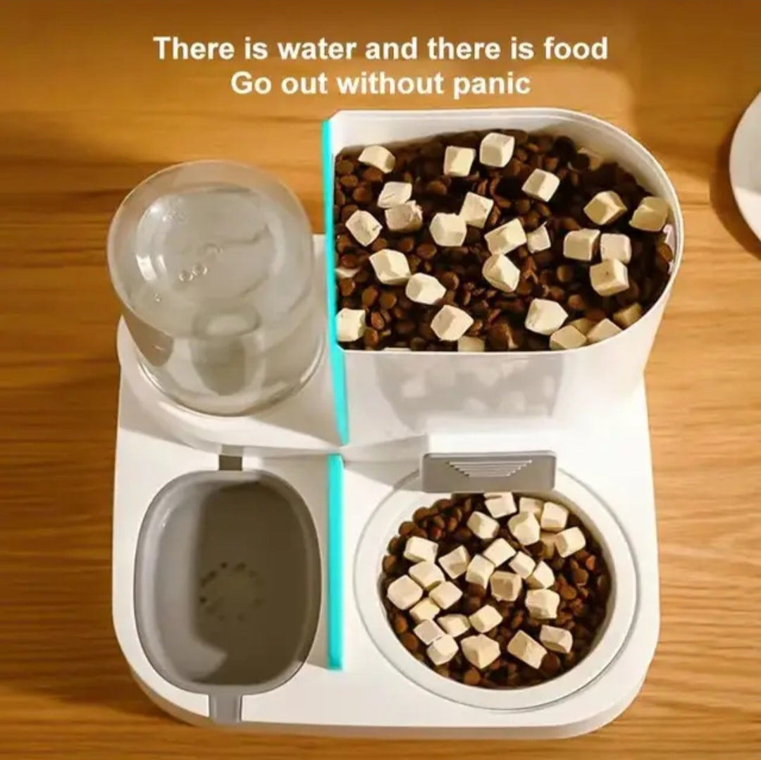Pet bowl with dispenser