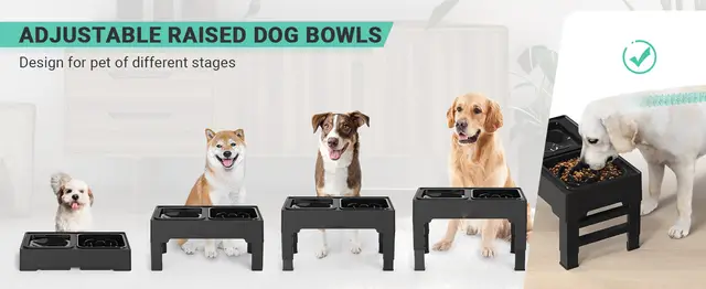 Elevated Dog Bowl