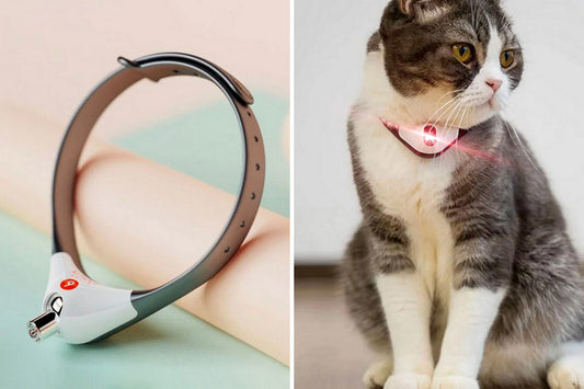 Laser Cat Collar